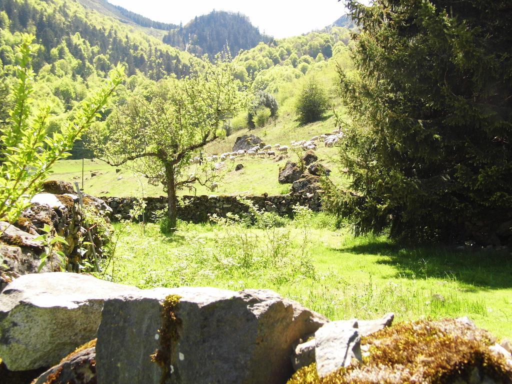Gite Auberge Les Cascades La Mongie Eksteriør billede