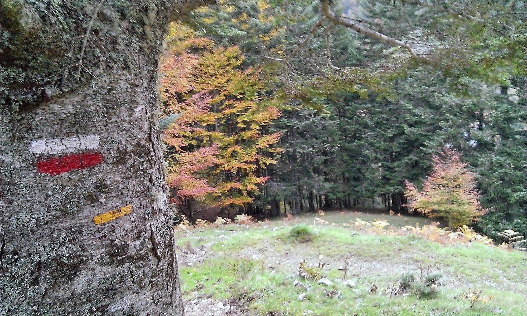 Gite Auberge Les Cascades La Mongie Eksteriør billede