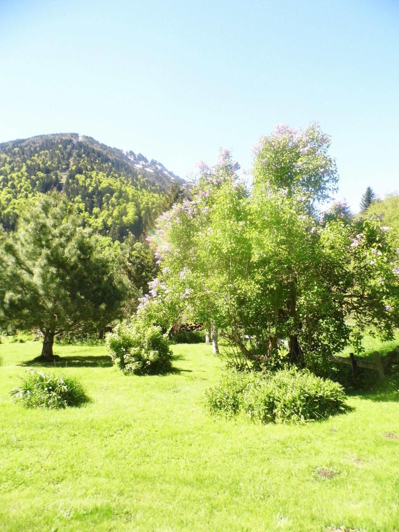 Gite Auberge Les Cascades La Mongie Eksteriør billede
